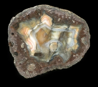Kopfchen Thunderegg