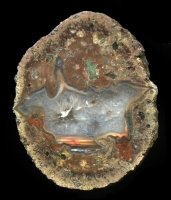 Kopfchen Thunderegg