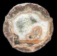 Kopfchen Thunderegg
