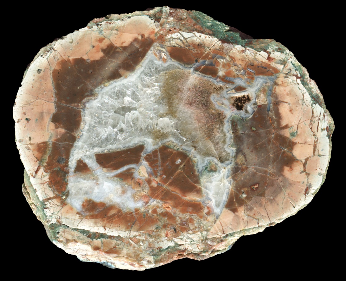 Baumgartental Thunderegg with Decayed Sagenite Spray
