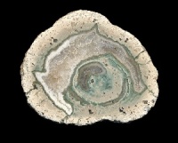 Nesselhof Thunderegg