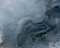 Lesbos Thunderegg detail shot