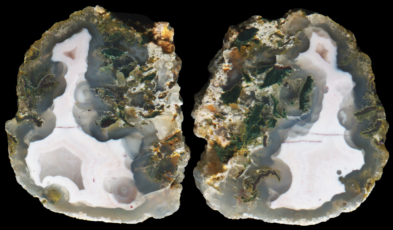 Intricate Scurdie Ness Agate with Bright White