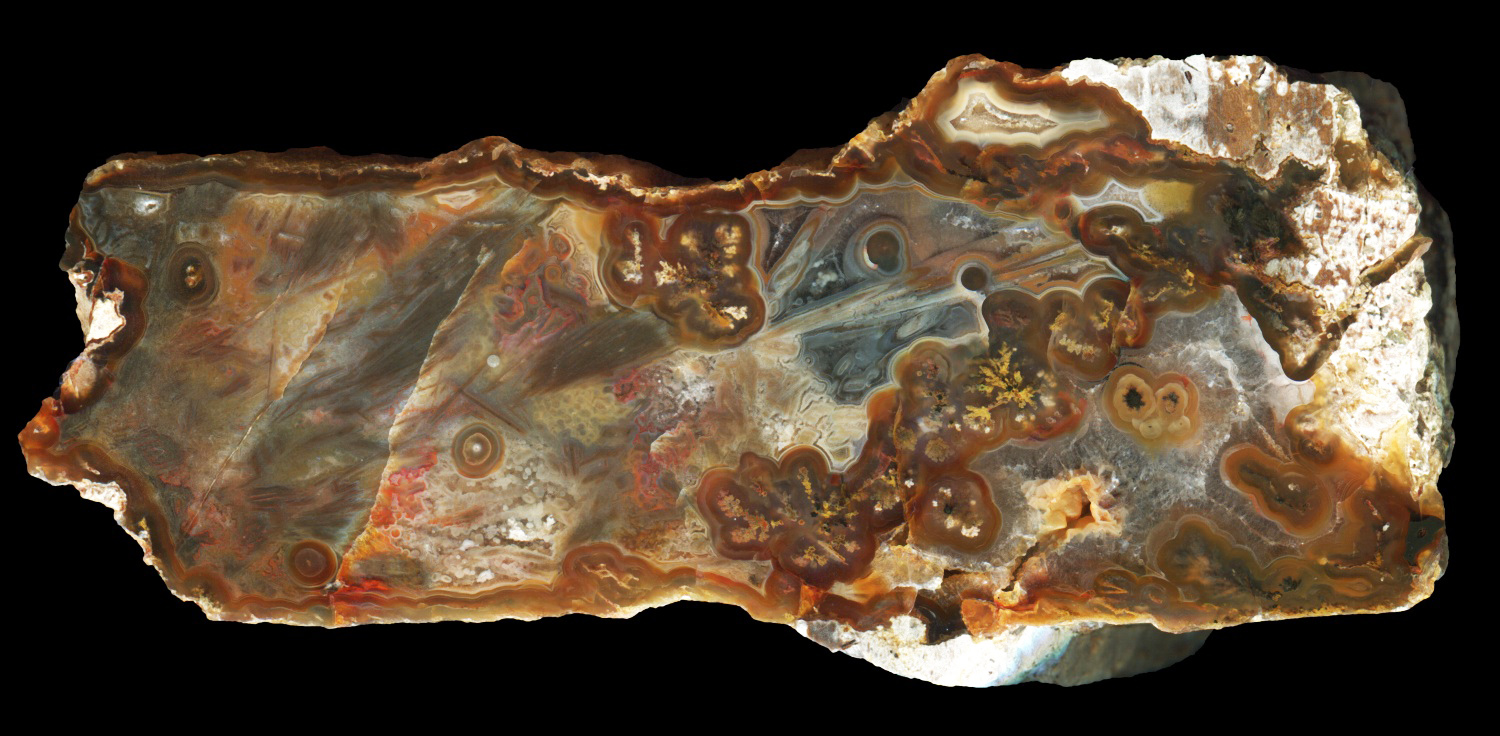 Intricate Sagenite Agate with Plume