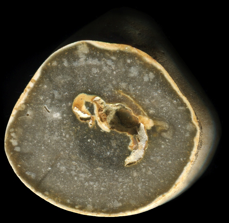 Pevensey Bay Flint with Small Sponge Cavity