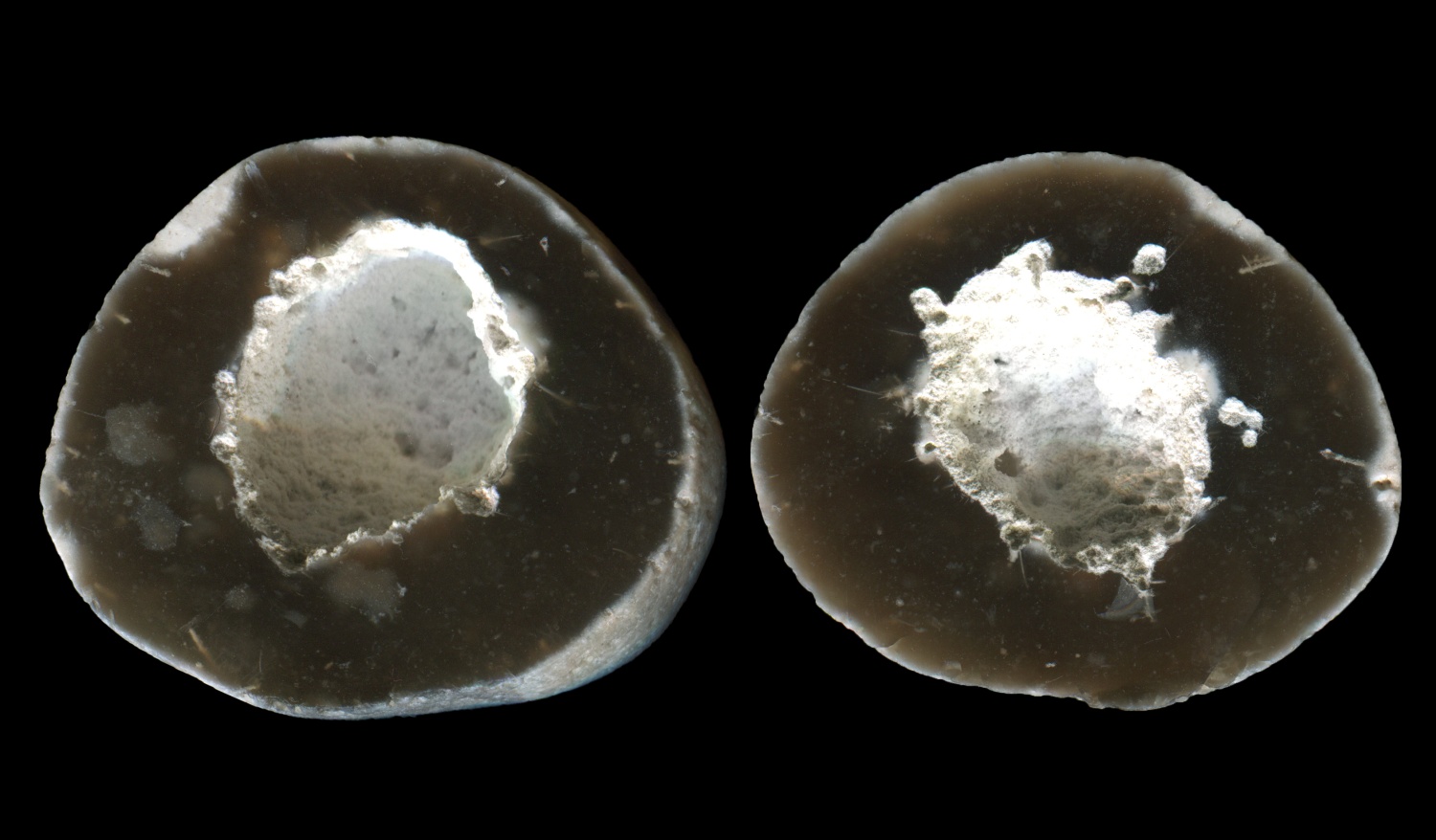 Cute Pevensey Bay Flint with Pristine Cavity