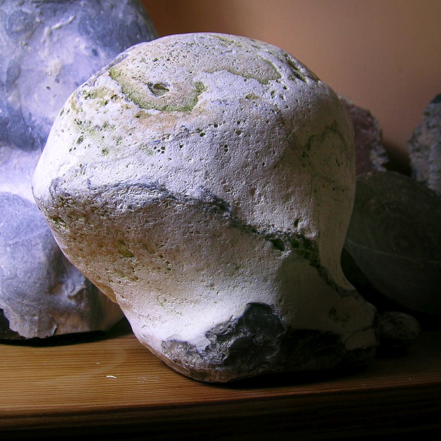 Massive Fossil Sponge Flint