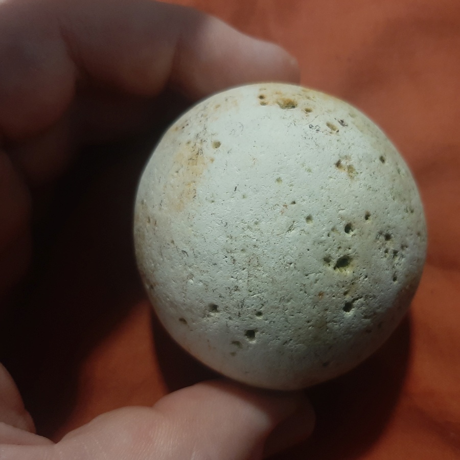 Beautiful Round Flint with Fossil Sponge