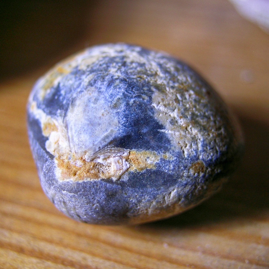 Flint After Fossil Bivalve - Perfect Little Stone Shell
