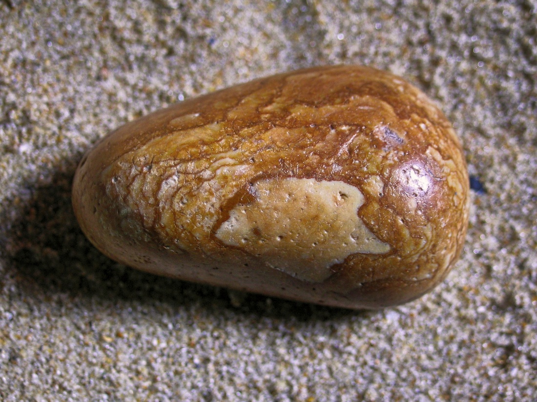 Small Flint Pebble Showing Beautiful Surface Patterning
