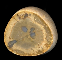 Whitstable Pebble