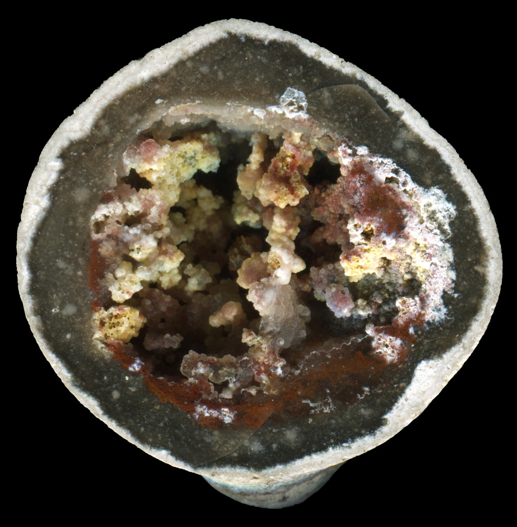 This one absolutely took my breath away. There was not much of this visible on the outside - just a fairly ordinary-looking fossil sponge, of the kind I have collected probably too many of from various places. But on using my saw to trim off a kind of plug of sponge, this was revealed and it's safe to say I could hardly believe my eyes.