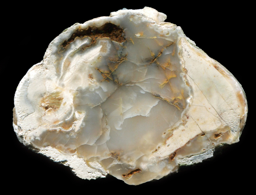 White Hollow Moor Thunderegg