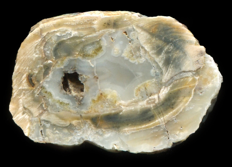Tiny Sadgill #2 Thunderegg 