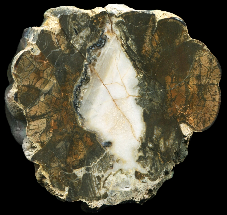 Gray Butte Thunderegg with Beautiful Mottled Matrix