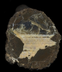 Bed 2 Thunderegg