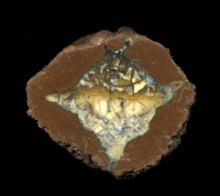 Richardson Thunderegg