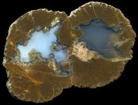 Wild Iris Thunderegg