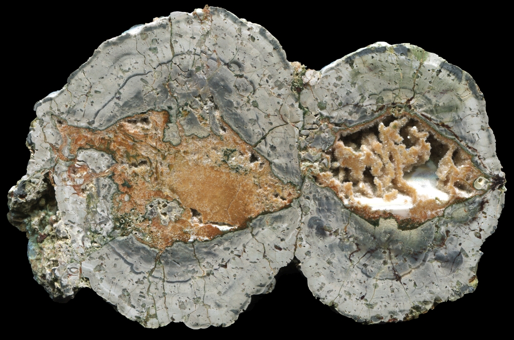 Fallen Tree Thunderegg Zeolite Specimen