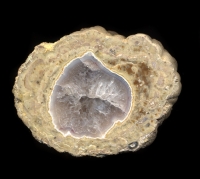 TNT Thunderegg