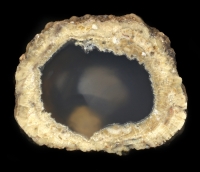 TnT Thunderegg